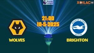 Nhận định bóng đá Wolves vs Brighton 21h00 ngày 10/5